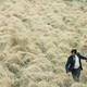 The Lobster